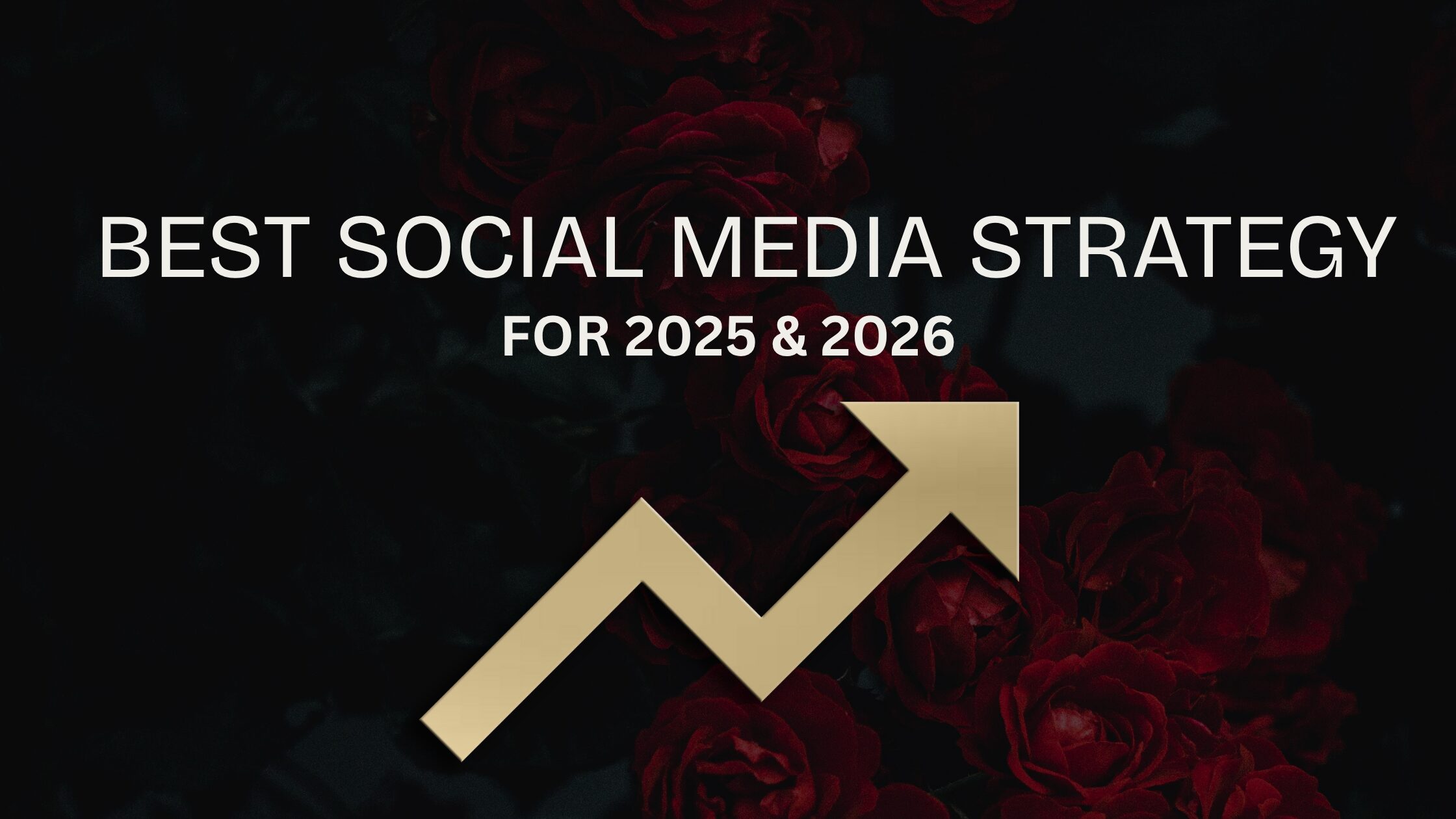 The best social media strategy for 2025 and 2026