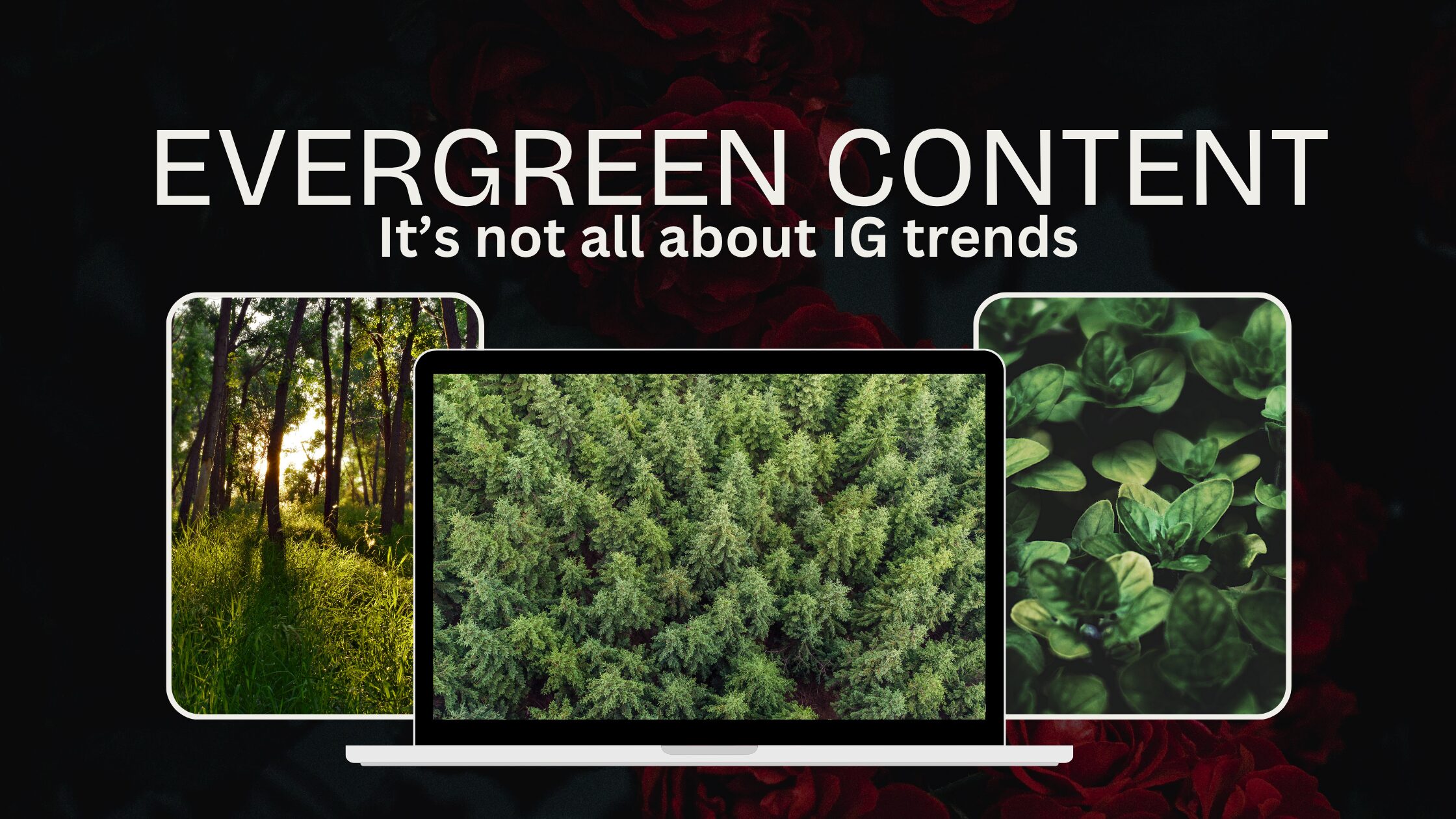 Evergreen content strategies that you can app;ly to your brand